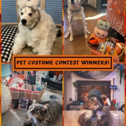 Pet Costume Contest